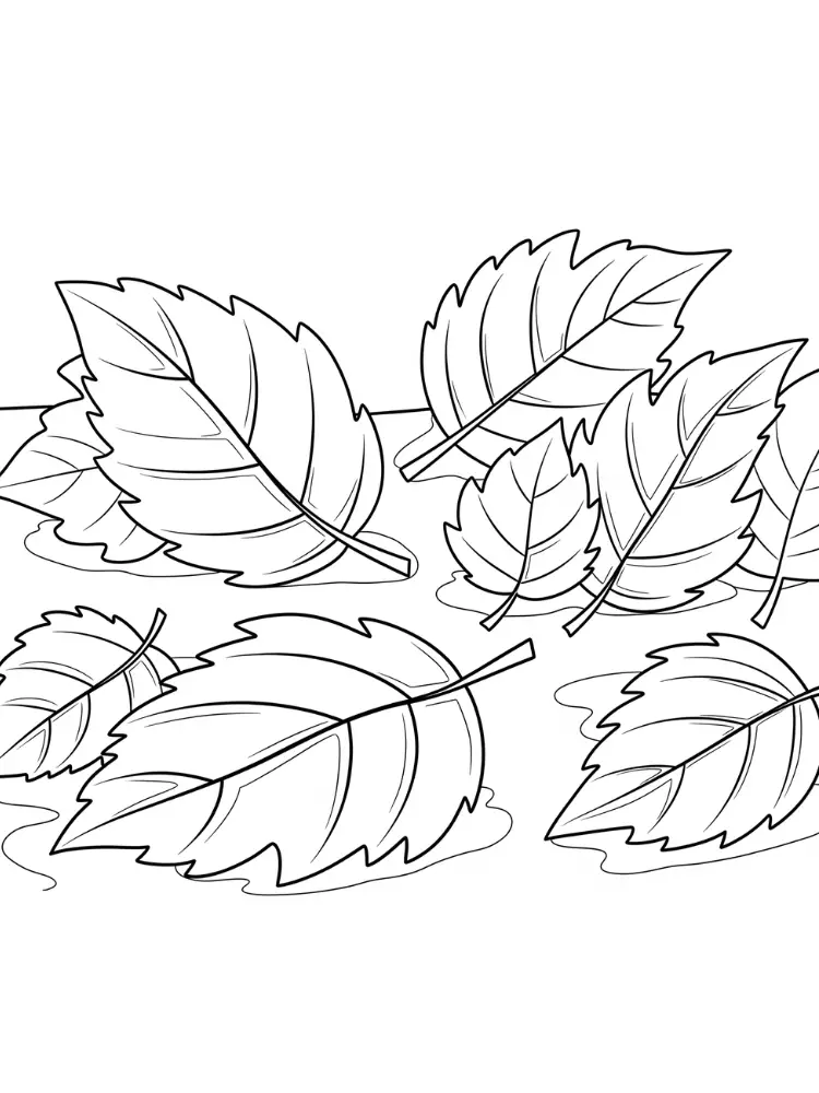 Kleurplaat herfstbladeren 8 Bladeren op de Herfstgrond Kleurplaat