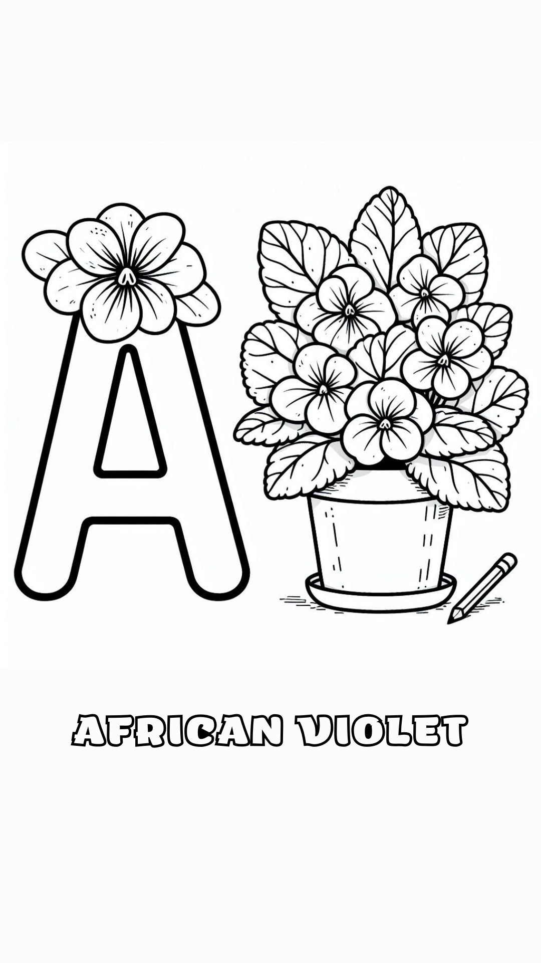 Letter A kleurplaat – bloemen African Violet