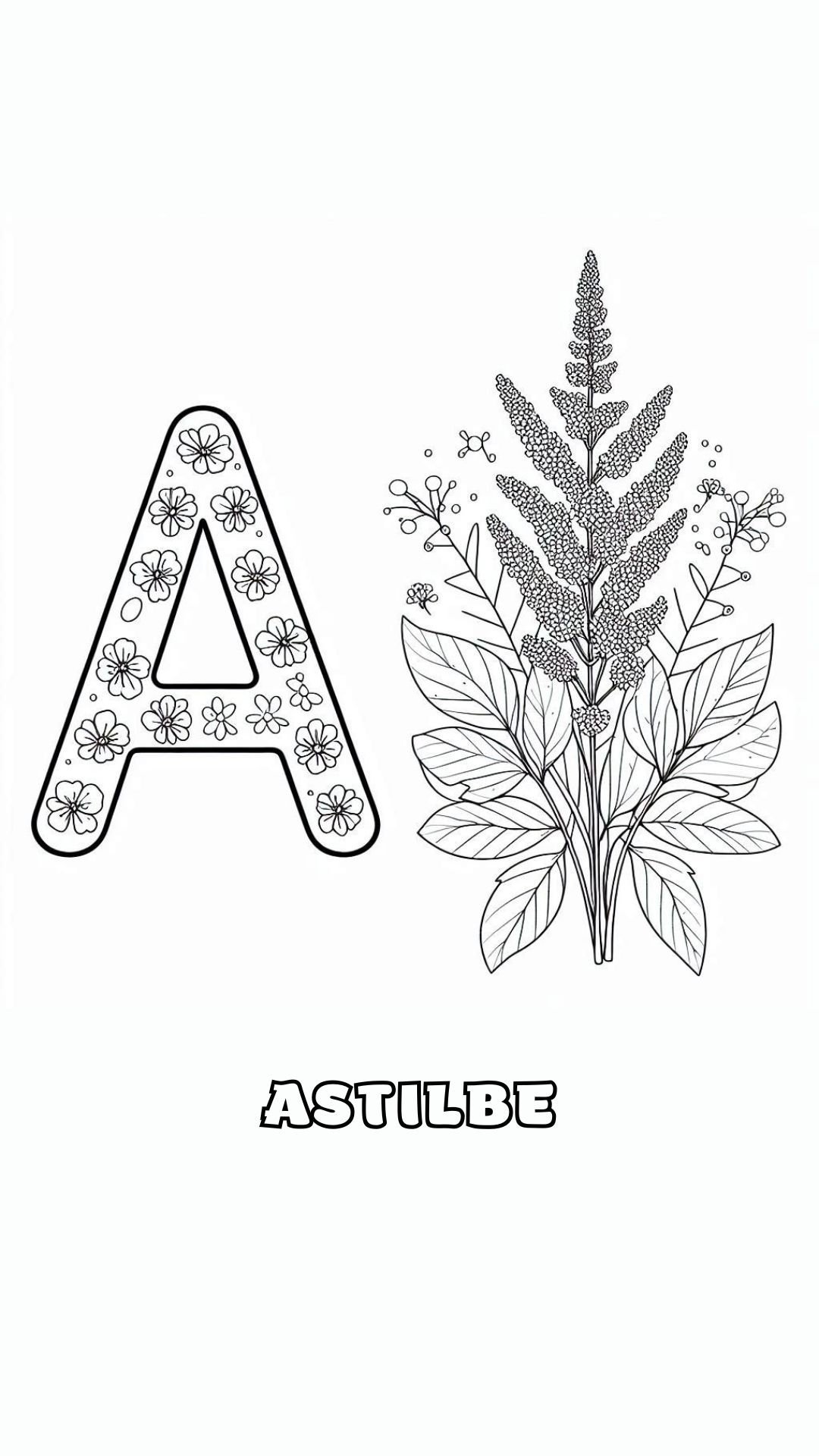 Letter A kleurplaat – bloemen Astilbe