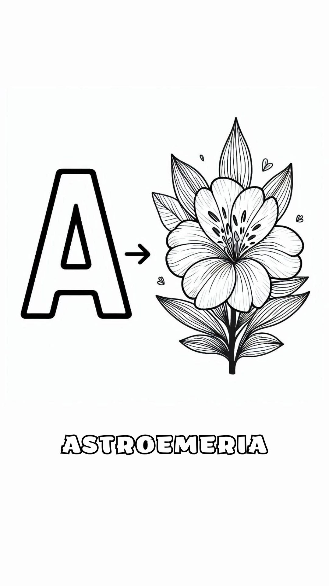 Letter A kleurplaat – bloemen Astroemeria