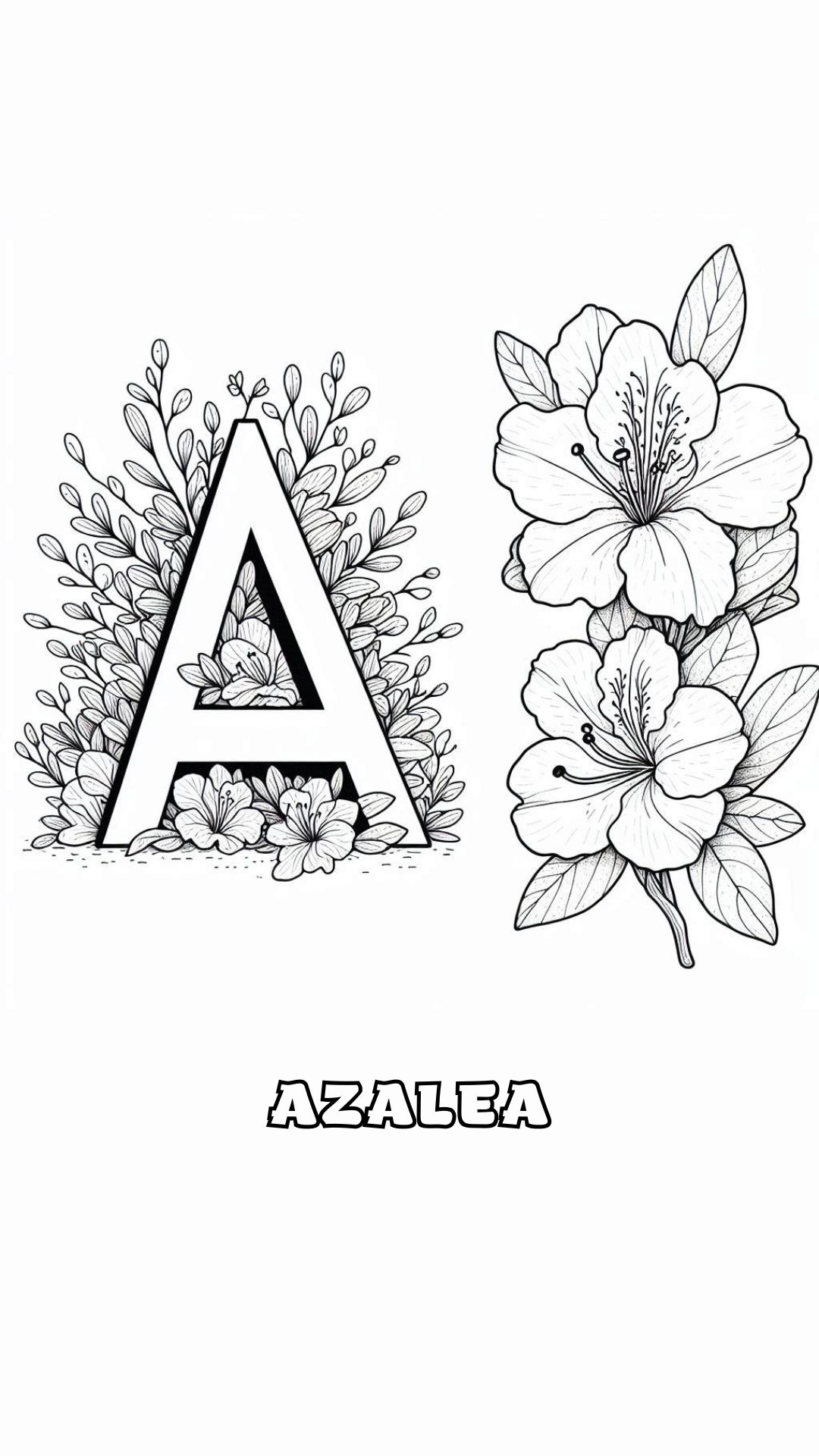 Letter A kleurplaat – bloemen Azalea