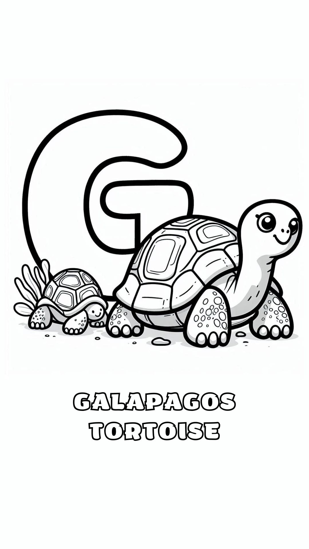 Letter G kleurplaat – Galapagos Tortoise