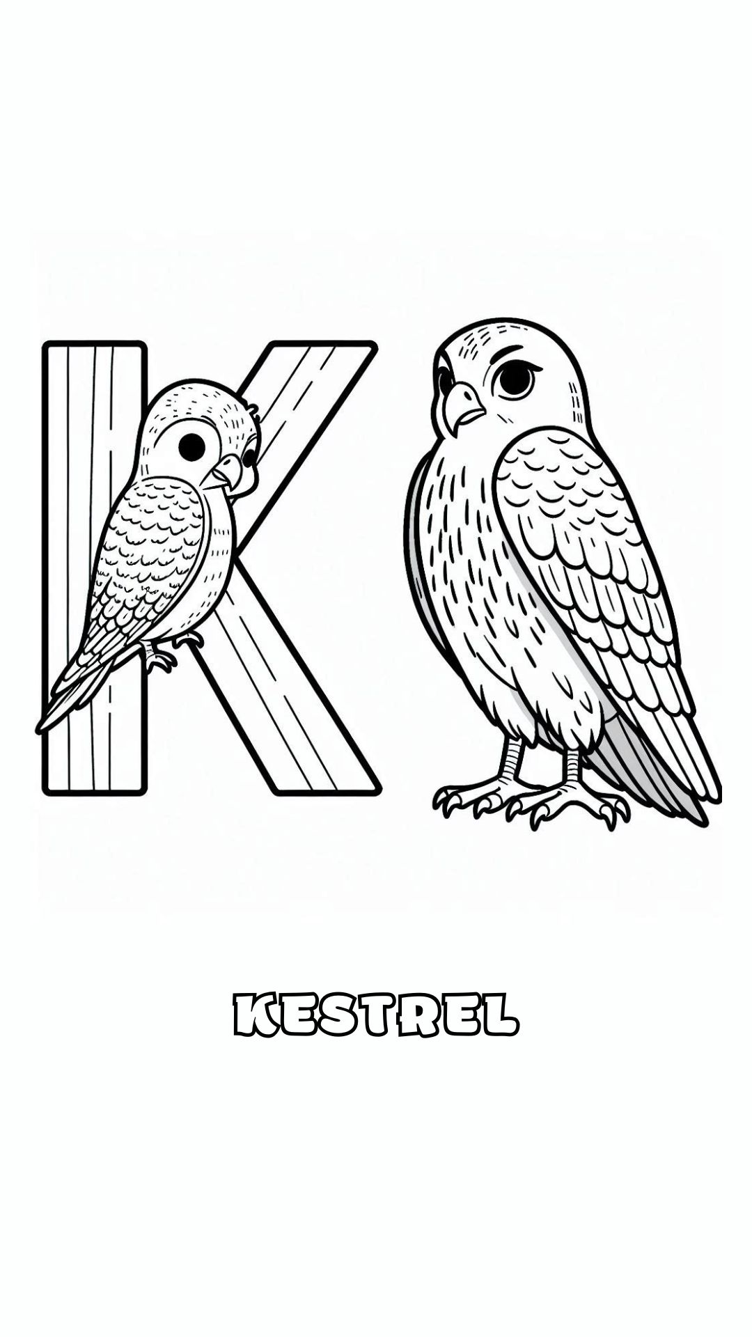 Letter K kleurplaat – Kestrel