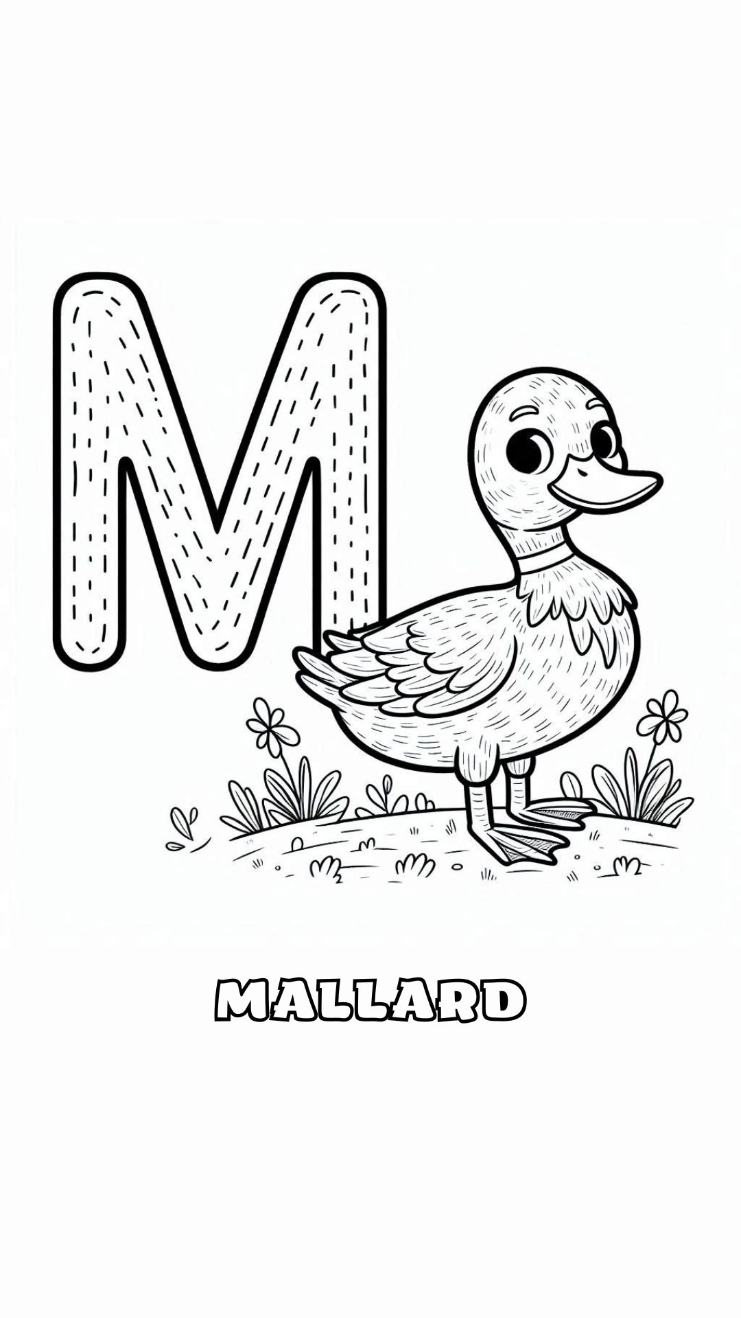 Letter M kleurplaat – Mallard