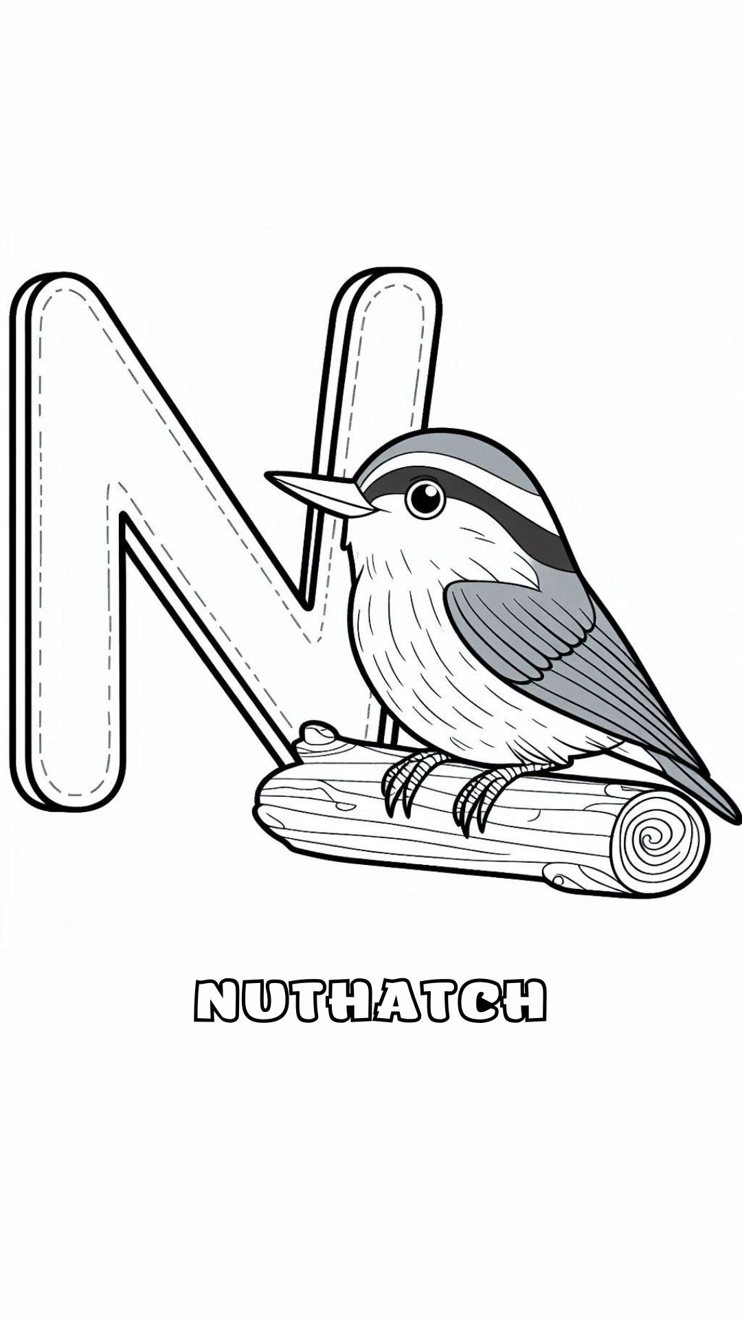 Letter N kleurplaat – Nuthatch