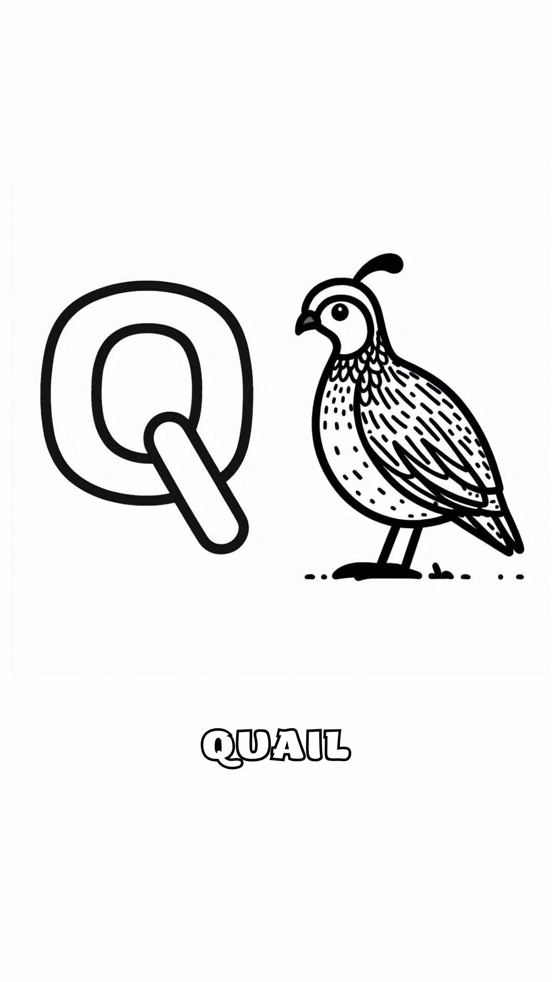 Letter Q kleurplaat – Quail