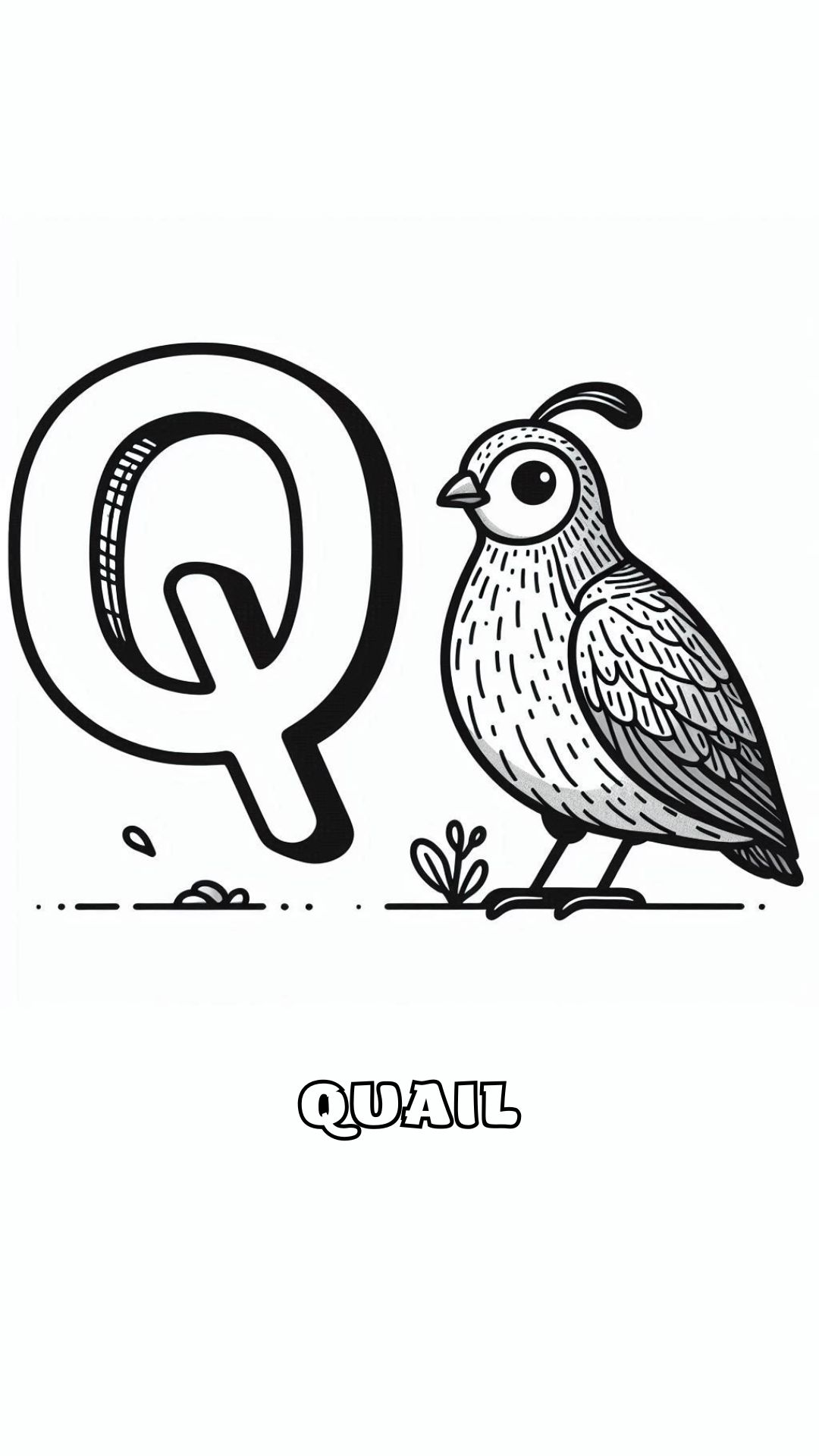 Letter Q kleurplaat – Quail 1