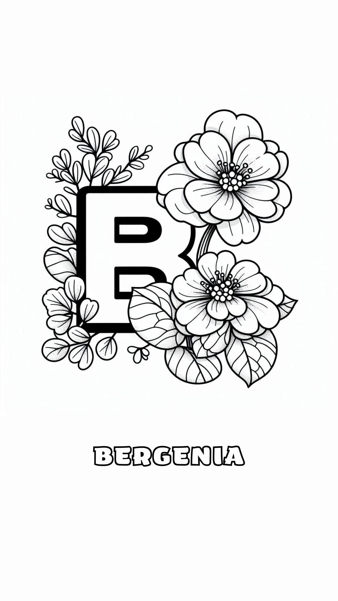 Letter B kleurplaat – bloemen Bergenia