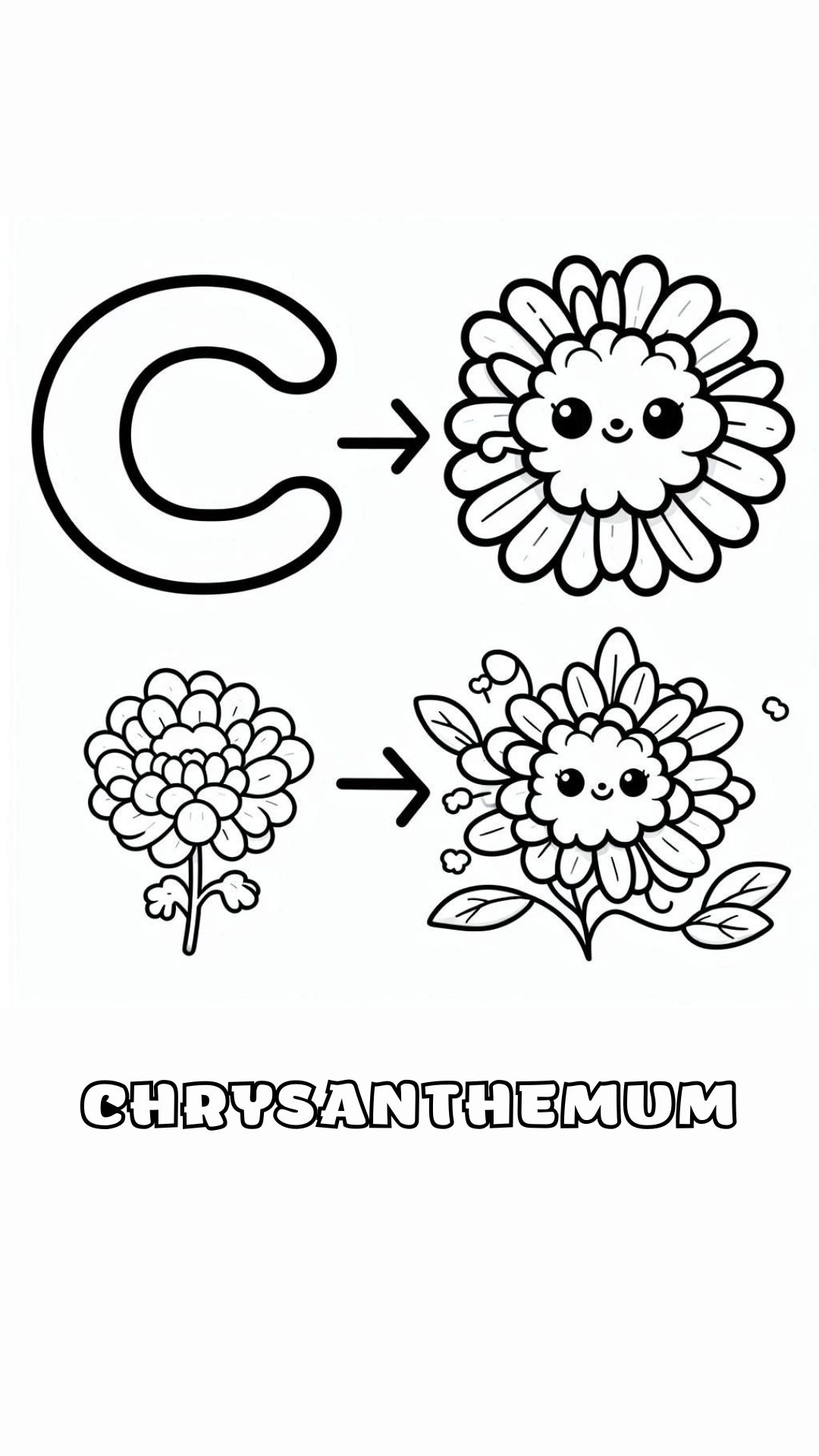 Letter C kleurplaat – bloemen Chrysanthemum