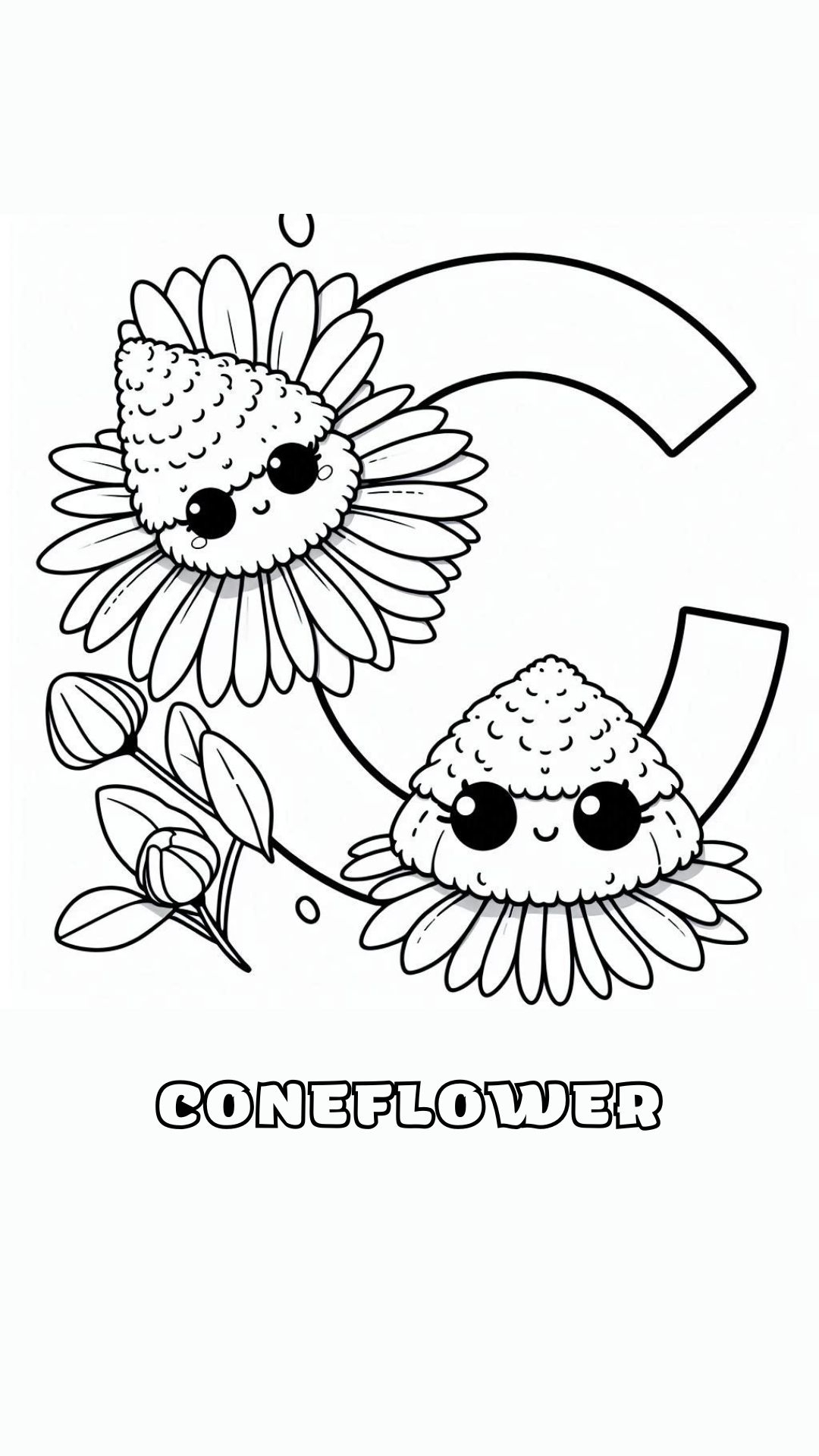 Letter C kleurplaat – bloemen Coneflower