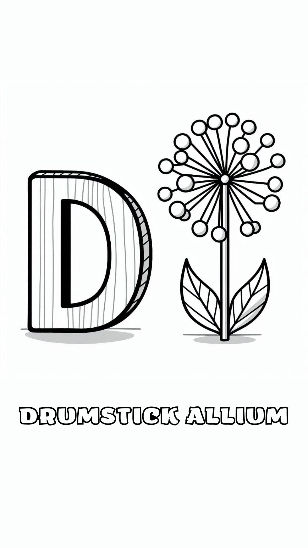 Letter D kleurplaat – bloemen Drumstick Allium