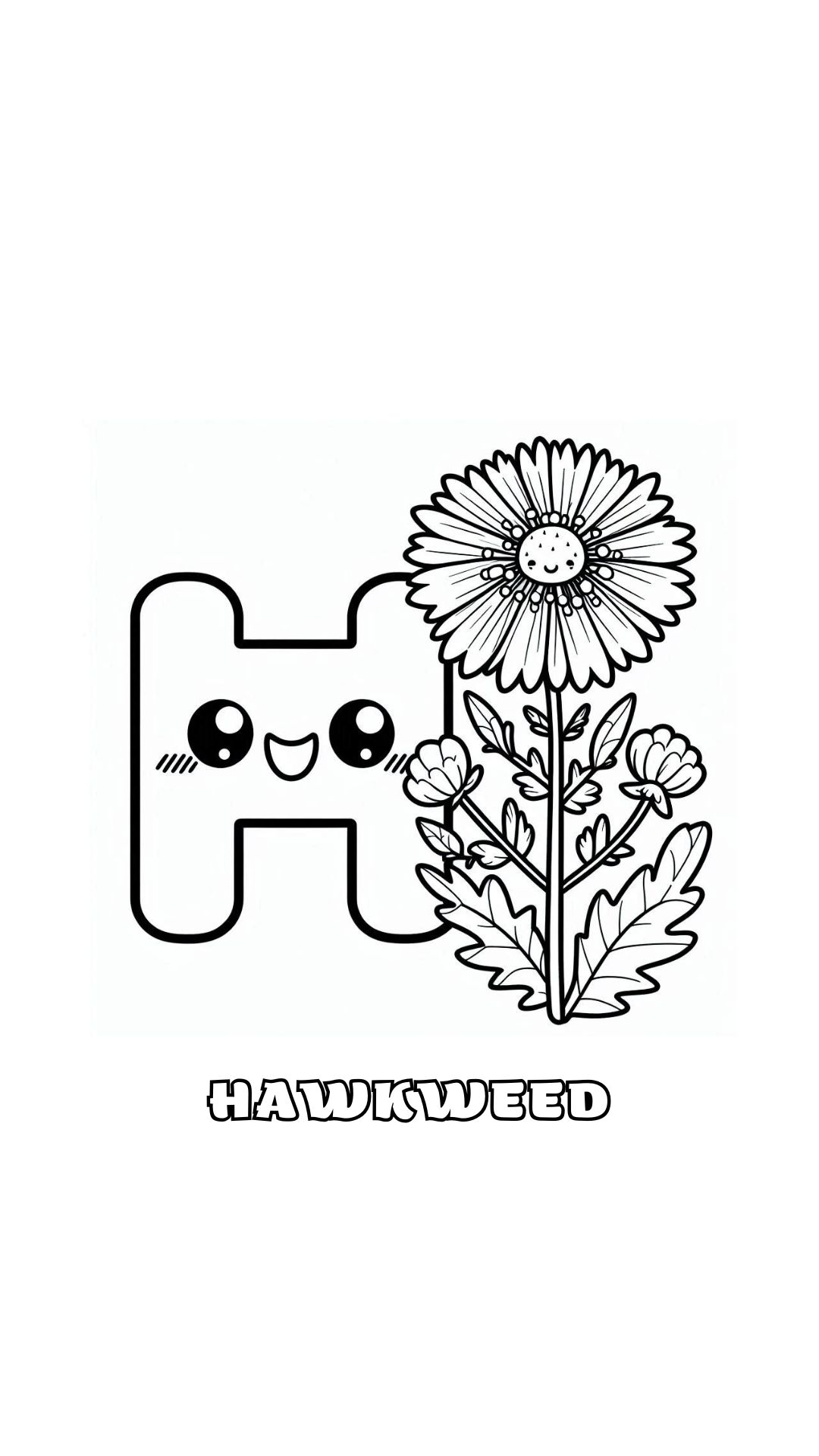 Letter H kleurplaat – bloemen Hawkweed