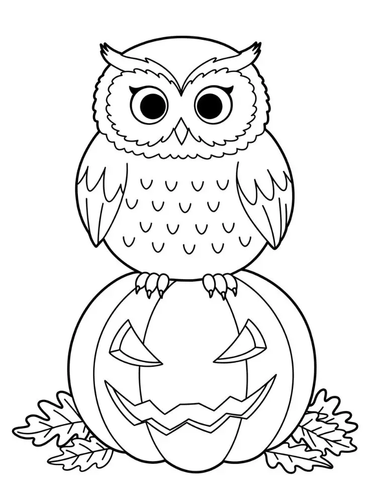 Kleurplaat Uil 8 uil zit op halloween pompoen kleurplaat