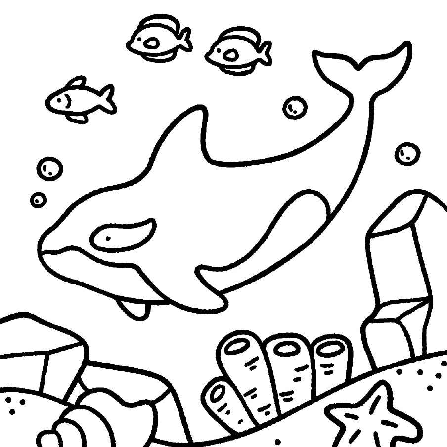 Kleurplaat Ocean Scene 45 Kleurplaat Ocean Scene38