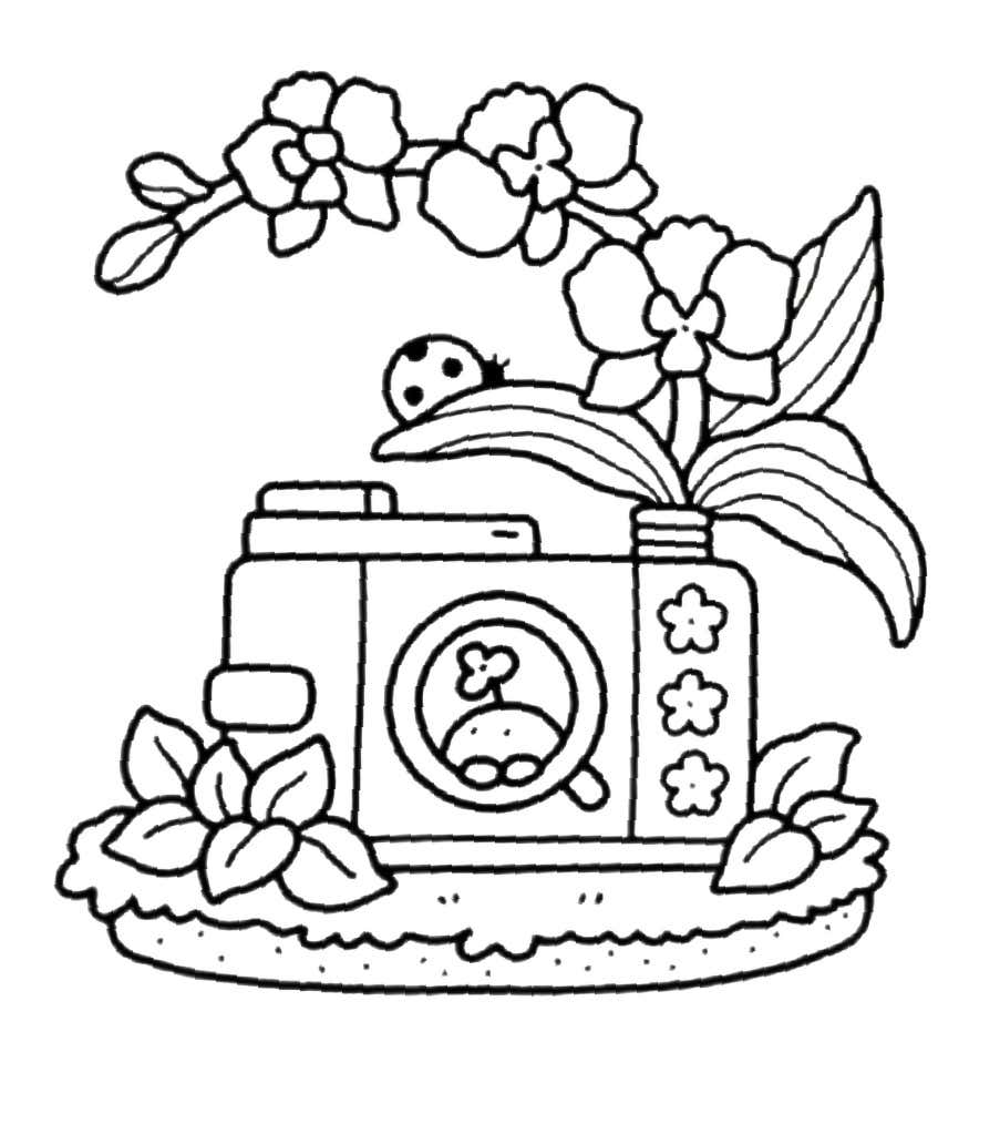 Kleurplaat Into Gardens 35 Kleurplaat Into Gardens 28