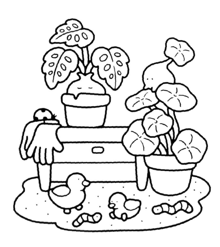 Kleurplaat Into Gardens 36 Kleurplaat Into Gardens 29