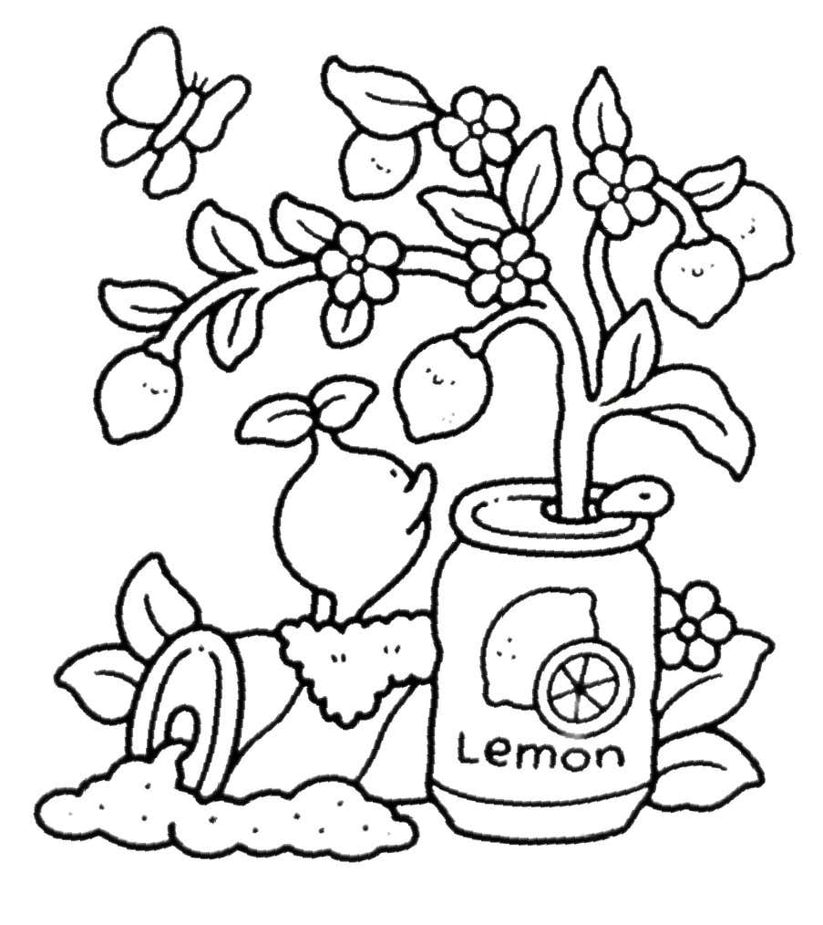 Kleurplaat Into Gardens 41 Kleurplaat Into Gardens 34