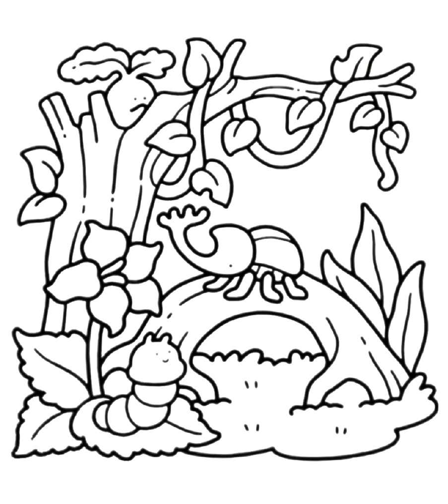 Kleurplaat Into Gardens 14 Kleurplaat Into Gardens 7