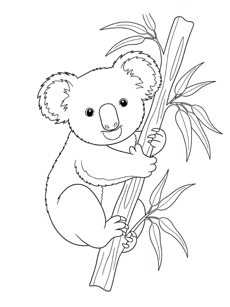 Kleurplaat koala 8 koala in de boom kleurplaat