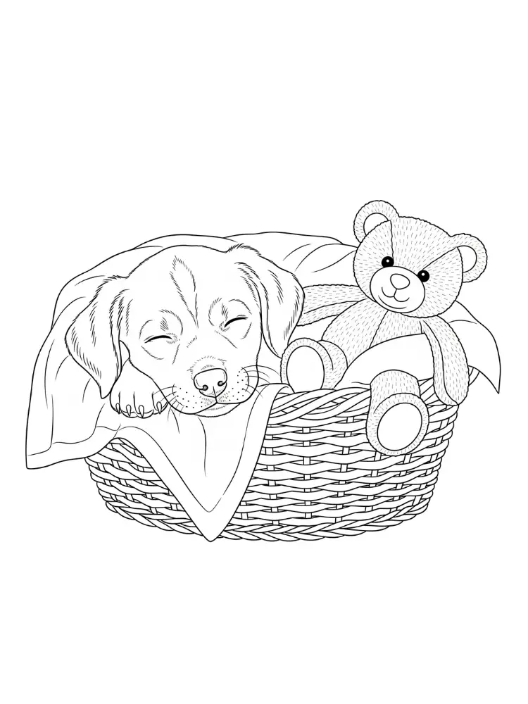 Puppy kleurplaat 9 slapende puppy met knuffelbeer kleurplaat
