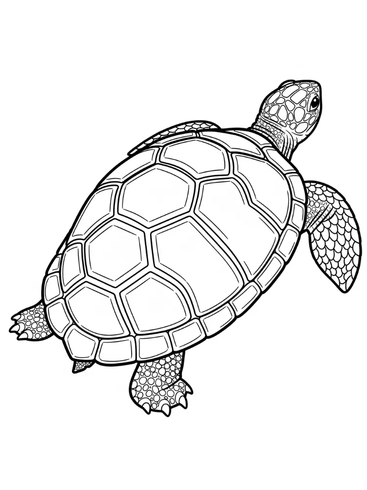 Kleurplaat schildpad 8 realistische zeeschildpad kleurplaat