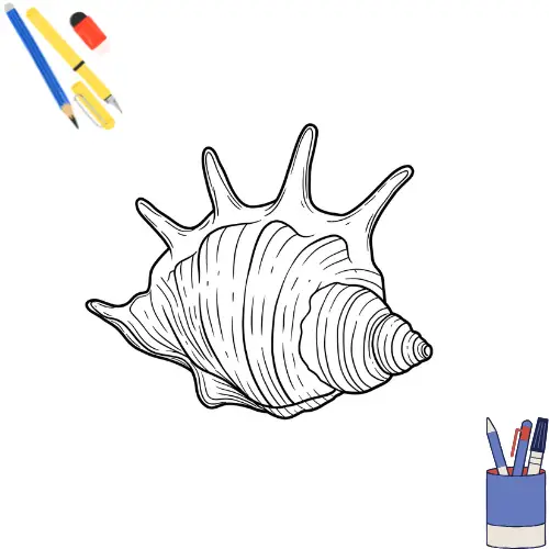 Schelpen kleurplaat thumbnail