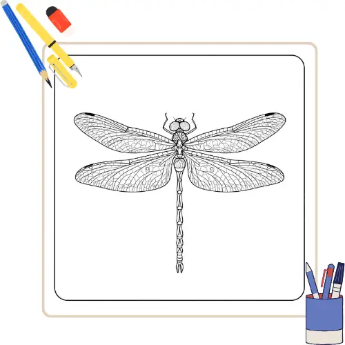 Libel kleurplaat thumbnail