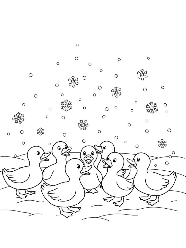 Kleurplaat Eend 17 eendjes in de sneeuw kleurplaat