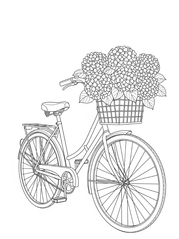 Hortensia Kleurplaat 24 fiets met hortensia mand kleurplaat