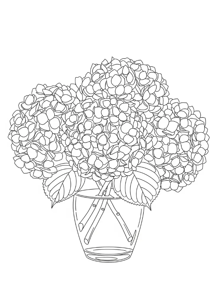 Hortensia Kleurplaat 17 hortensia bloemen in vaas kleurplaat