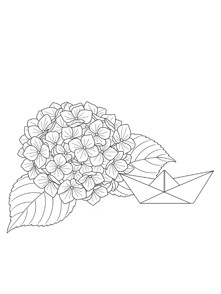 Hortensia Kleurplaat 13 hortensia met papieren bootje kleurplaat
