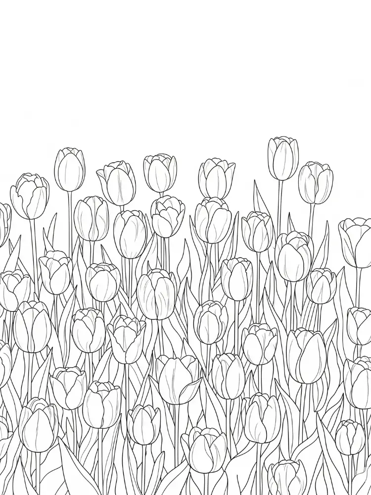 Tulp kleurplaat 13 veld vol tulpenbloemen kleurplaat