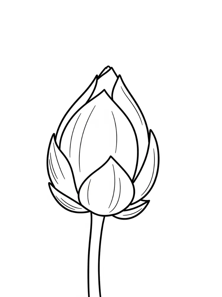 Lotus Kleurplaat 22 lotusbloemknop close up kleurplaat