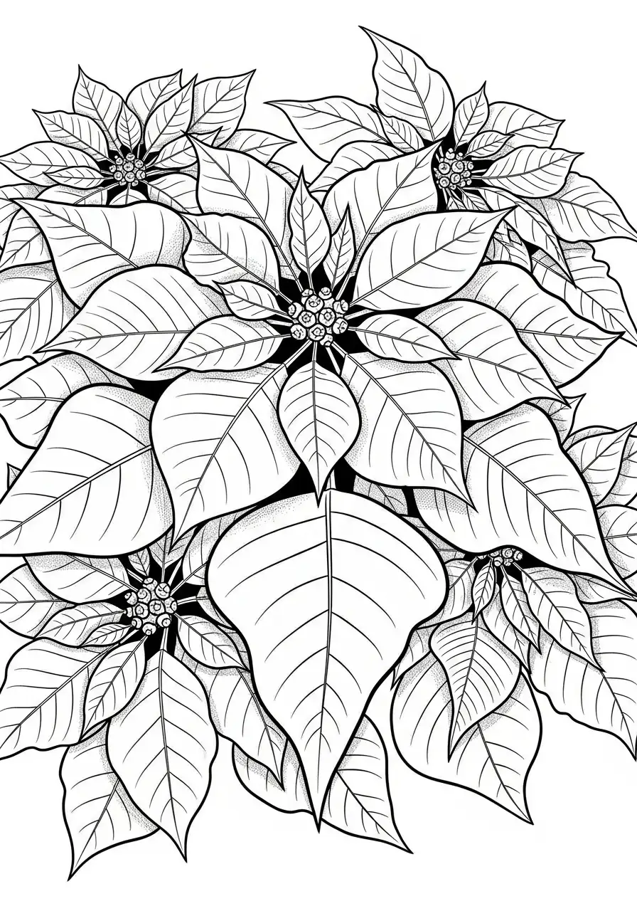 kerstster plant poinsettia kleurplaat