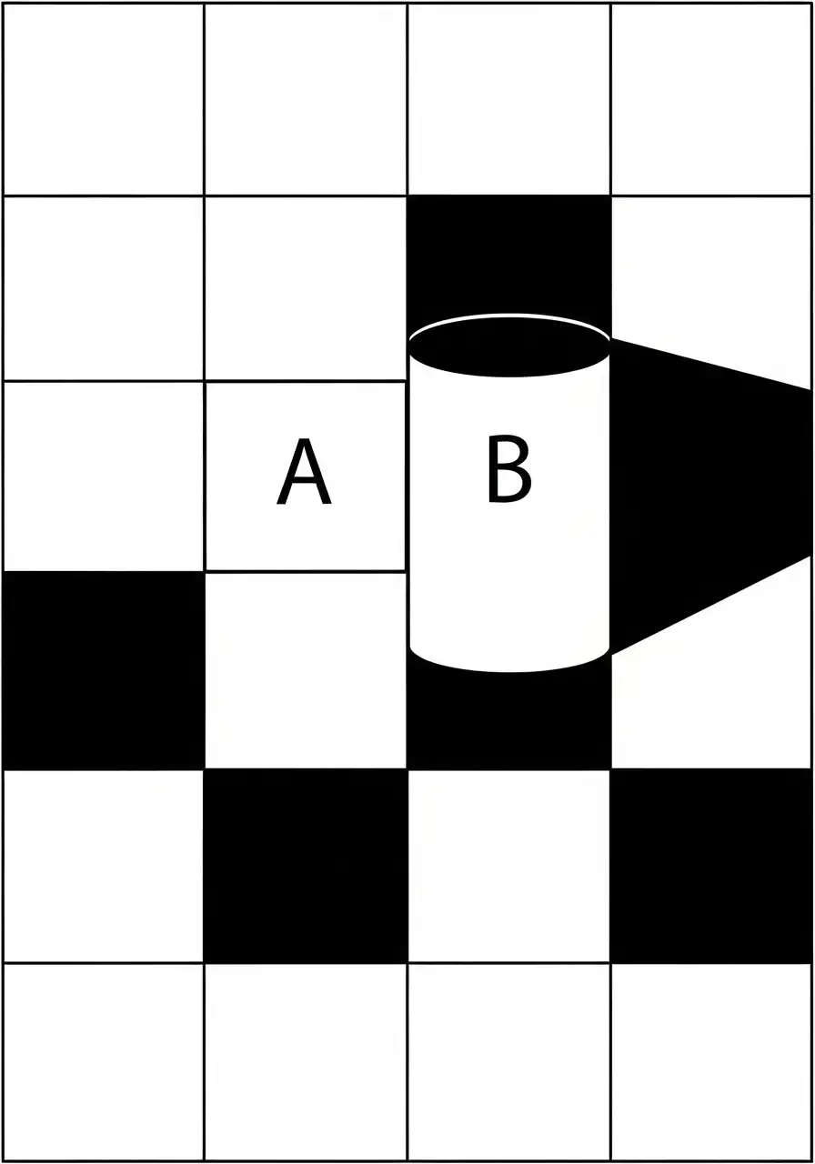 Kleurplaat Optische illusies 31 schaduw illusie schaakbord kleurplaat