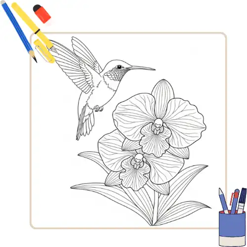 Kleurplaat Kolibrie thumbnail