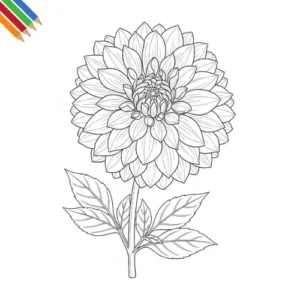 Dahlia Bloem Kleurplaat 7 Dahlia Bloem Kleurplaat thumbnail