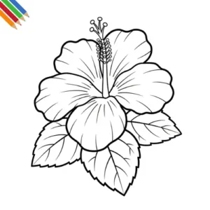 Hibiscus Kleurplaat thumbnail