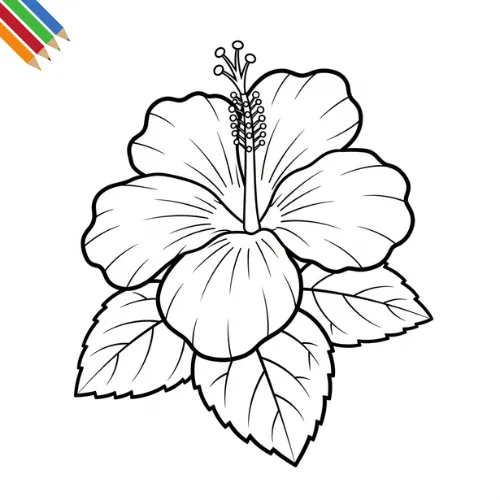 Hibiscus Kleurplaat thumbnail