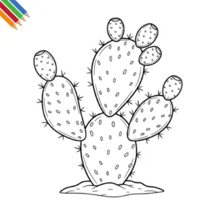 Vijgcactus Kleurplaat 48 Vijgcactus Kleurplaat thumbnail