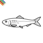 Sardine Kleurplaat thumbnail