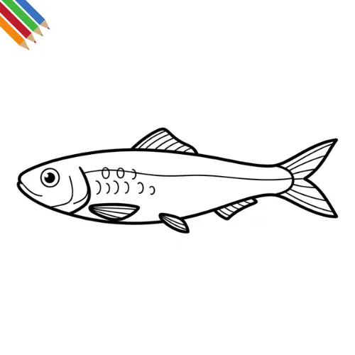 Sardine Kleurplaat thumbnail