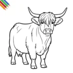 Schotse Hooglander Kleurplaat thumbnail
